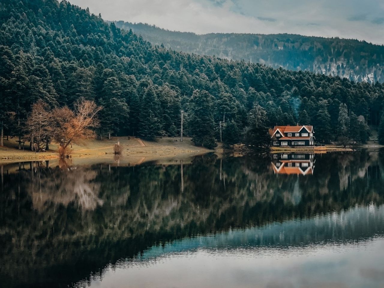 Bolu Sohbet